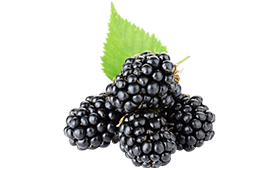 black-berry