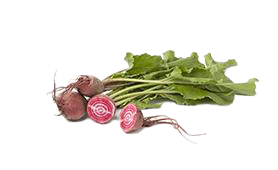 beetroot-chioggia