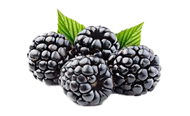 black-berry
