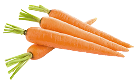 carrot