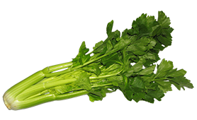 celery