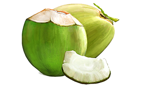 coconut-tender
