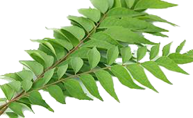 curry-leaves