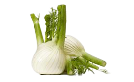 fennel