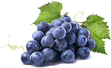 grapes-black