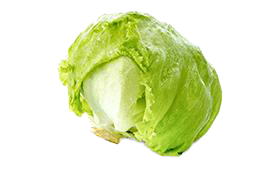 lettuce-iceberg