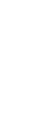 line_art_collection