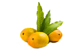 mango-alphonso