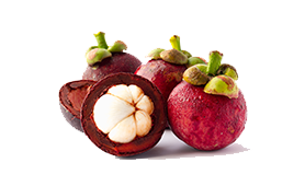 mangosteen