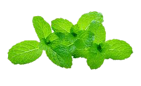 mint