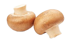 mushroom-brown