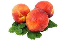 nectarine