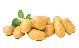 potato-new