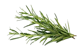 rosemary