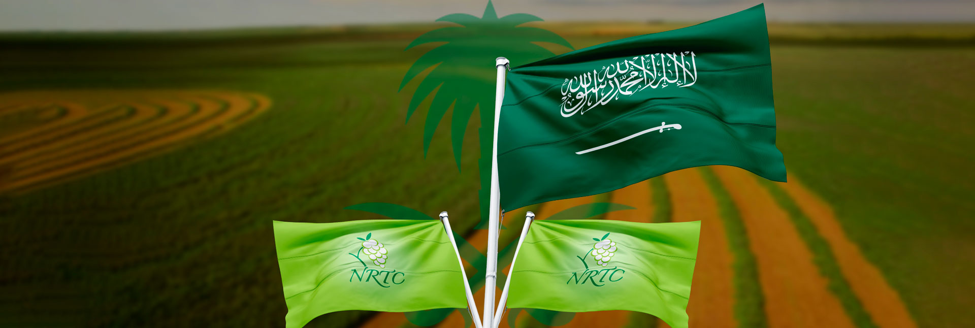 saudi