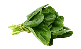 spinach